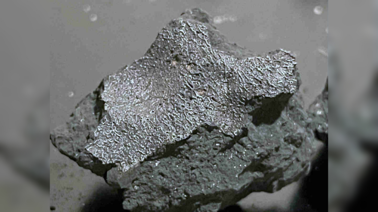 Meteorite that crashed through New Jersey house could hold the clues to life’s origins