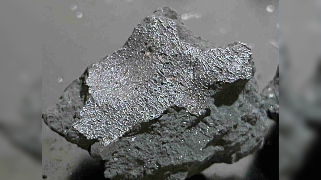 Meteorite that crashed through New Jersey house could hold the clues to life’s origins