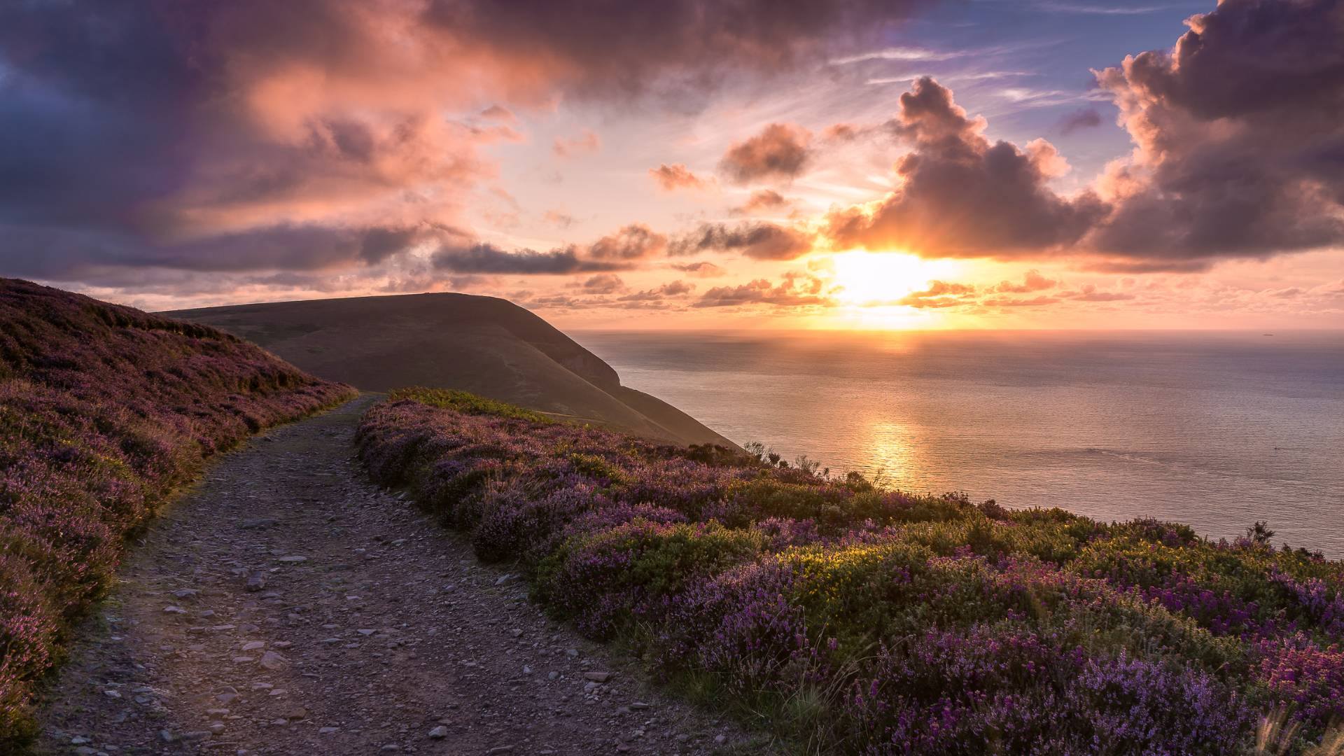 A dirt path winds through purple heather-covered hills, leading towards a dramatic sunset over the ocean, with golden sunlight reflected on the water and clouds tinged with orange and pink hues.