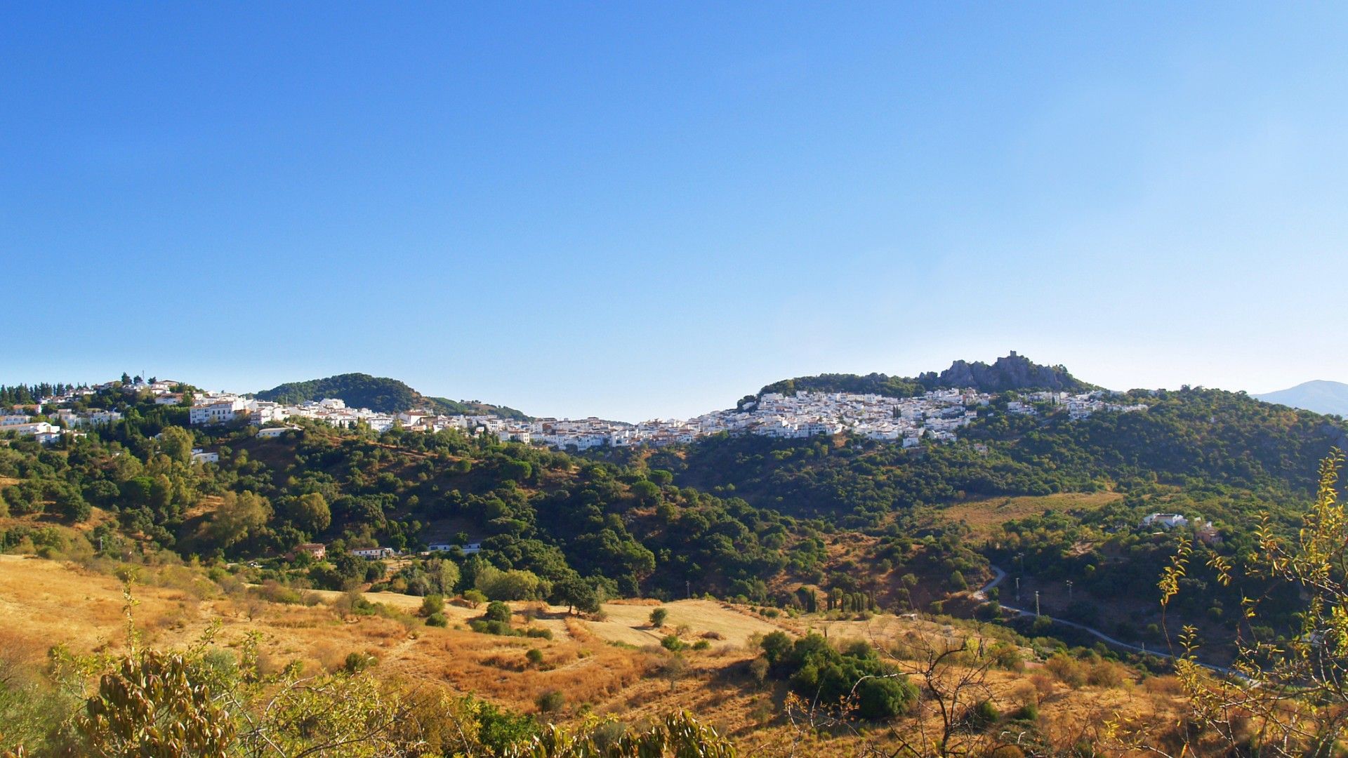 A green, forested mountain range is dotted with white housing.