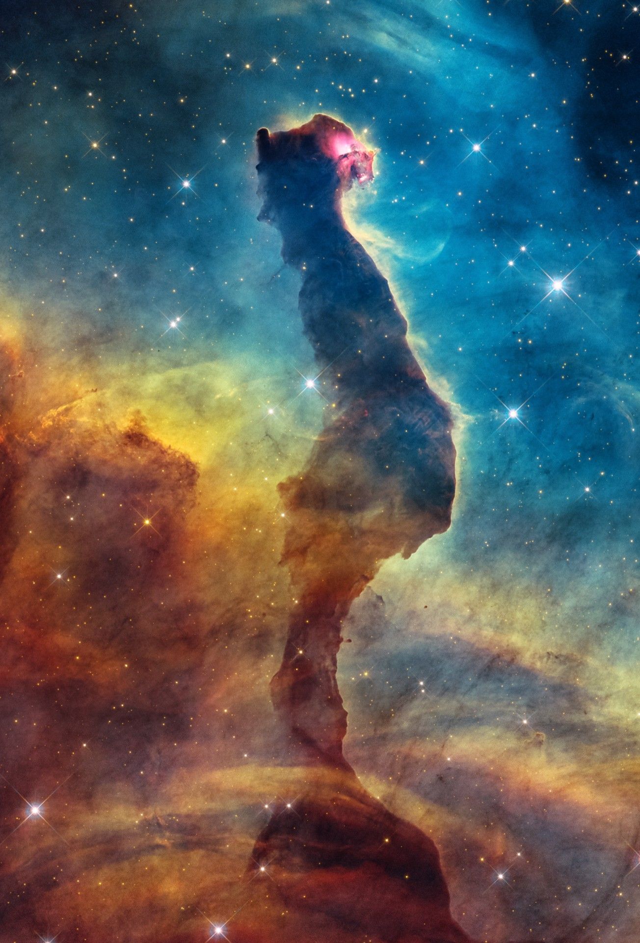 a cloud of gas that resembles a cat's head and neck on a starry background