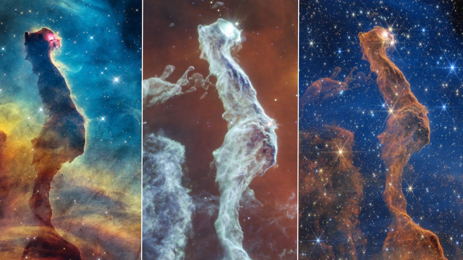 a wispy cloud of gas resembling a cat's head, on a starry background