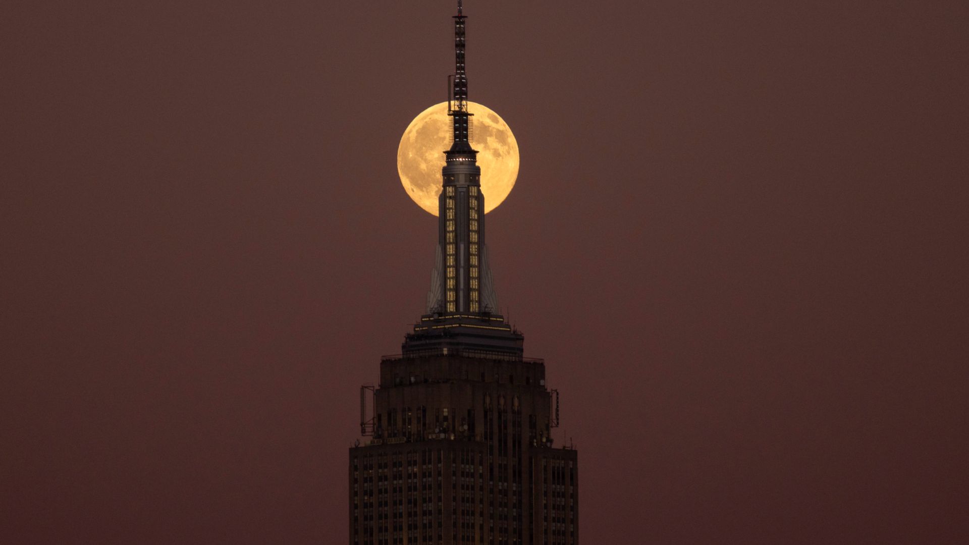 A yellow moon is photographed in a plum sky rising behind the spire of a skyscraper.