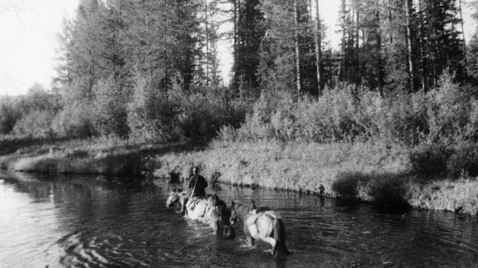 people on horseback crossing a small river